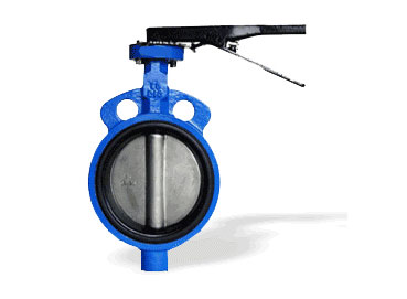 Y Strainer Valves